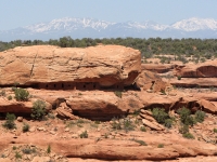 The Citadel from across the Canyon